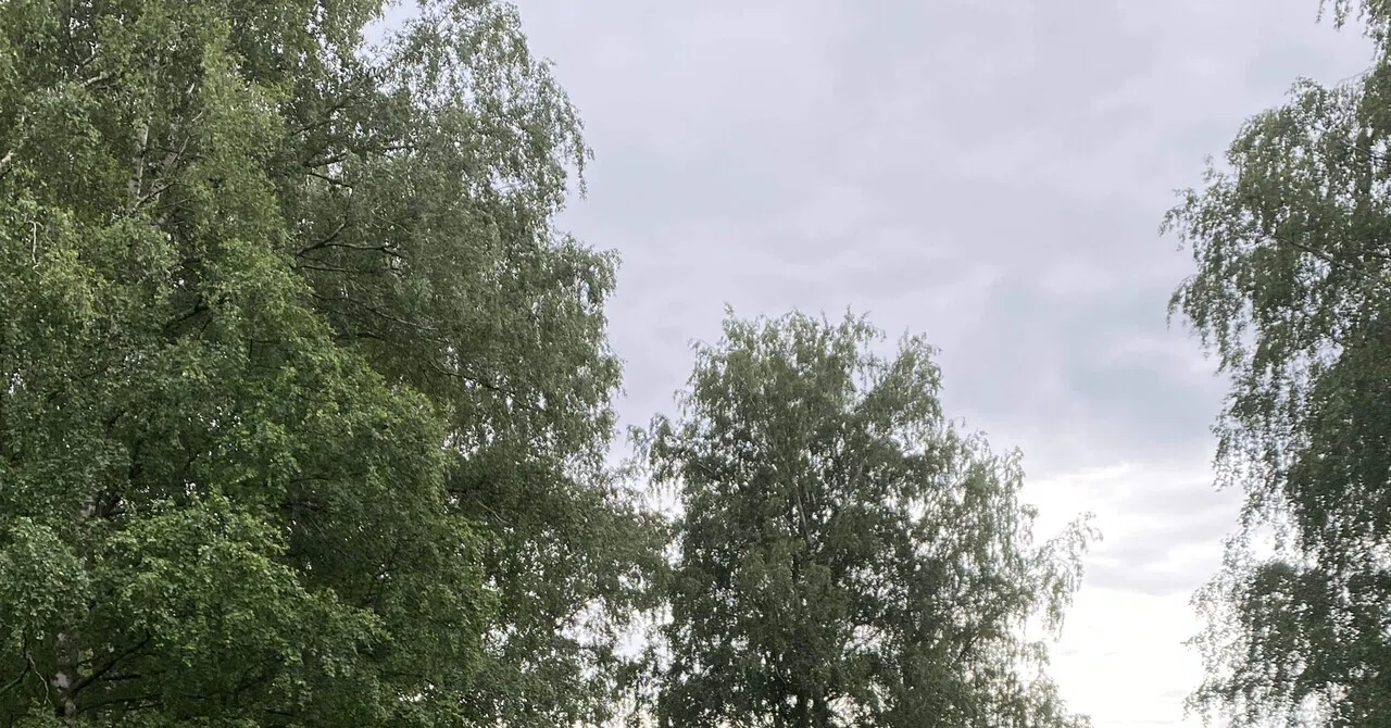 【内山竣太選手 寄稿】傘をささない国フィンランド