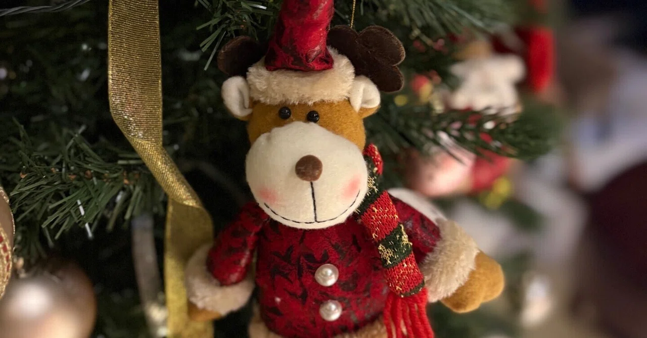 【西原拓夢選手 寄稿】イスラム教徒の多い国で、メリークリスマス！